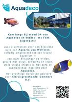 Vivarium Aquadeco, Dieren en Toebehoren, Reptielen en Amfibieën | Toebehoren, Ophalen, N.v.t., Nieuw, N.v.t.