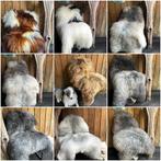 OP=OP WEG-PECH SCHAPENVACHT, Huis en Inrichting, Woonaccessoires | Plaids en Woondekens, Verzenden, Nieuw