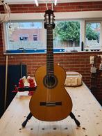 Klassieke Gitaar Cortez CS-80, Muziek en Instrumenten, Ophalen, Zo goed als nieuw, Klassieke of Spaanse gitaar, Met koffer