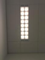 Punkprog zoekt metal gitarist met brede smaak, Contacten en Berichten, Muziek maken en Bandleden