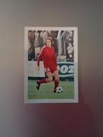 Voetbalplaatje Arnold Mühren FC Twente Voetbalsterren, Ophalen of Verzenden, Zo goed als nieuw, F.C. Twente, Poster, Plaatje of Sticker