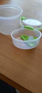 Sistema To Go yoghurt/ontbijt kom, Ophalen of Verzenden, Gebruikt, Groen, Bak of Kom