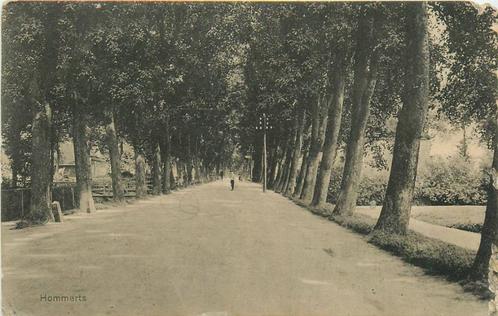 (388-058-001) Hommerts, Verzamelen, Ansichtkaarten | Nederland, Friesland, Verzenden
