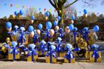 Loopgroep carnaval, Ophalen, Zo goed als nieuw, Carnaval