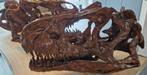 Dinosaurus schedel replica 1:1, Ophalen of Verzenden, Fossiel