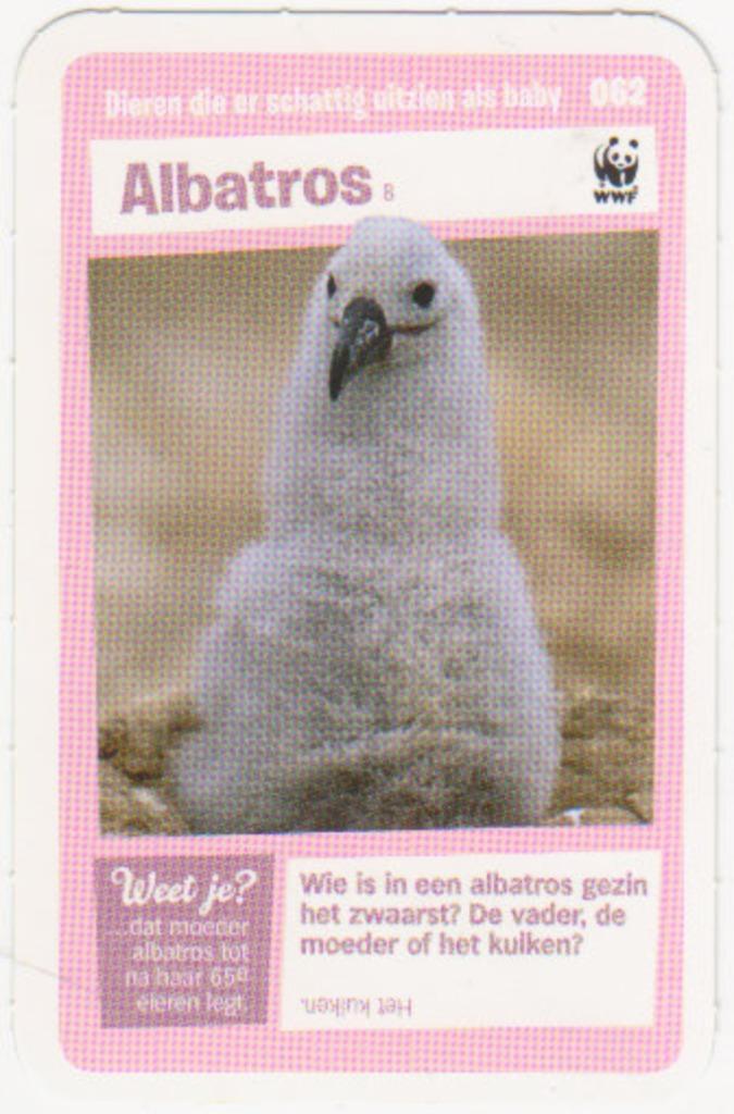 Super dieren no.62 Albatros [2711]  [VeOvSu], Verzamelen, Supermarktacties, Albert Heijn, Ophalen of Verzenden
