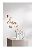 Iitala Alvar Aalto vaas H 16 cm L 20,8 cm, Overige kleuren, Ophalen of Verzenden, Minder dan 50 cm, Glas