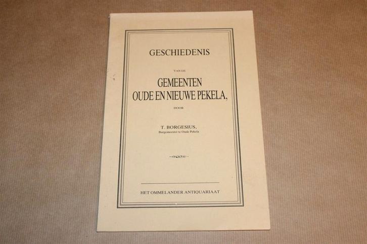 Gesch v/d gemeenten Oude en Nieuwe Pekela - T. Borgesius, Boeken, Geschiedenis | Stad en Regio, Zo goed als nieuw, Ophalen of Verzenden