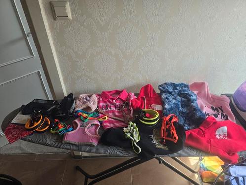 Honden kleertjes  accessoires, Dieren en Toebehoren, Honden-accessoires, Zo goed als nieuw, Ophalen of Verzenden