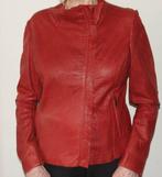 PRACHTIG NIEUW LAMS LEREN JASJE SIGNO NERO M38, SIGNO NERO, Nieuw, Jasje, Rood