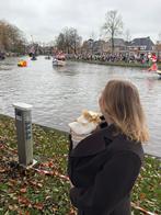 Artipoppe €50 korting op nieuwe!, Tickets en Kaartjes, Eén persoon, Kortingsbon