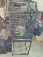 Grote vogelkooi, Dieren en Toebehoren, Vogels | Hokken en Kooien, Ophalen, Metaal, Vogelkooi