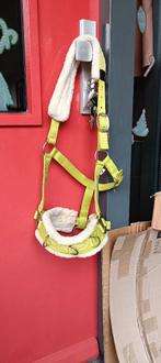 Kaptoom, Dieren en Toebehoren, Ophalen, Zo goed als nieuw, Overige soorten