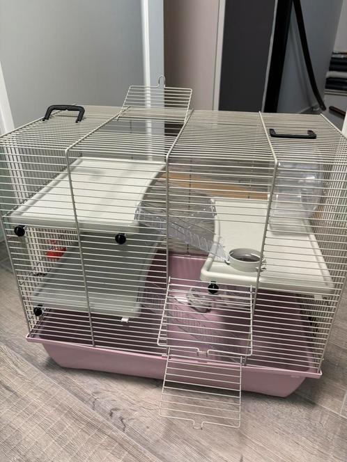 Hamster/muizen kooi, Dieren en Toebehoren, Knaagdieren en Konijnen | Hokken en Kooien, Zo goed als nieuw, Kooi, Minder dan 60 cm