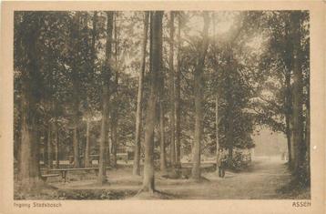 (701-190-007) Assen Stadsbosch beschikbaar voor biedingen