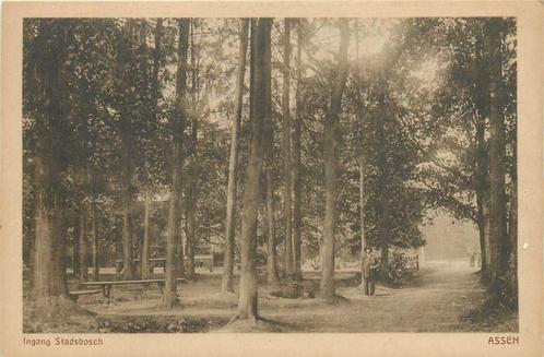 (701-190-007) Assen Stadsbosch, Verzamelen, Ansichtkaarten | Nederland, Drenthe, Verzenden