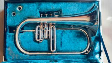 Yamaha YFH 731 s beschikbaar voor biedingen