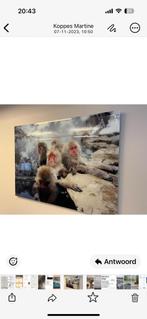 Foto op plexiglas, 125 cm of meer, Ophalen of Verzenden, Zo goed als nieuw, Foto of Poster