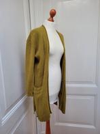 Anna van Thoor vest alpaca wol maat s, Kleding | Dames, Ophalen of Verzenden, Zo goed als nieuw, Maat 38/40 (M)