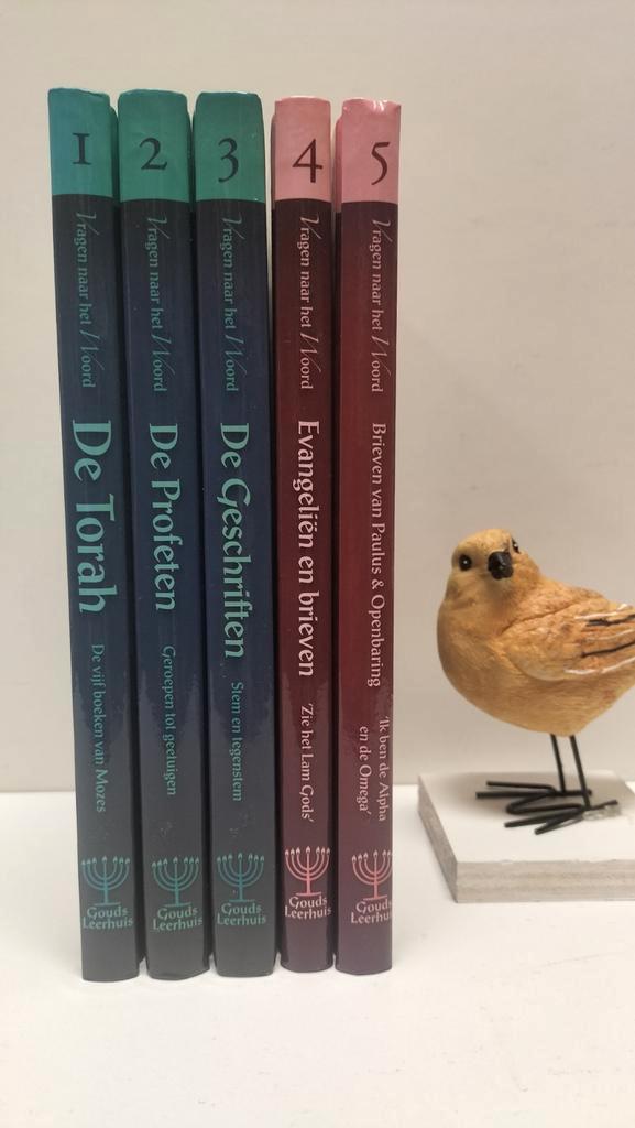 Gouds Leerhuis; Vragen naar het Woord (5 delen), Boeken, Godsdienst en Theologie, Gelezen, Christendom | Protestants, Ophalen of Verzenden