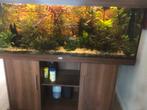 Aquarium Juwel Rio 350 LED, Donker Bruin Hout co2  compleet, Dieren en Toebehoren, Zo goed als nieuw, Ophalen, Gevuld zoetwateraquarium