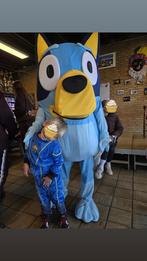Bluey Mascotte, Ophalen, Zo goed als nieuw