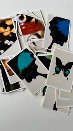 Prachtige memory (kaart) met vlinders en insecten, Een of twee spelers, Ophalen of Verzenden, Zo goed als nieuw