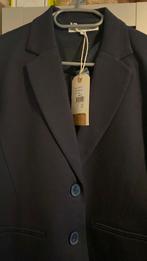 Red Button donkerblauwe blazer. Maat M. Nieuw, Maat 38/40 (M), Blauw, Nieuw, Ophalen of Verzenden