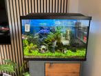 Aquarium, Dieren en Toebehoren, Ophalen, Zo goed als nieuw, Gevuld zoetwateraquarium