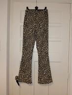 Flare broek met panterprint van Costes, maat XS, Bruin, Ophalen of Verzenden, Zo goed als nieuw, Costes