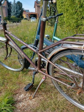 Gazelle en anders beschikbaar voor biedingen