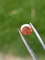 Cognac oranje diamant edelsteen 0.52crt, Ophalen of Verzenden, Nieuw