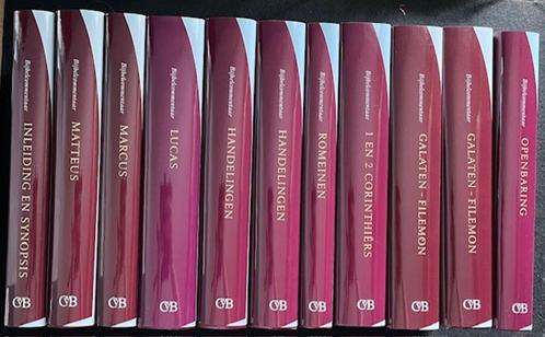 Studiebijbel Nieuwe Testament; (Inl.& Mattheus - Openbaring), Boeken, Godsdienst en Theologie, Gelezen, Ophalen of Verzenden