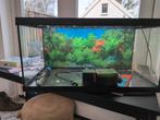 Aquarium 60x30x30 eheim, Dieren en Toebehoren, Vissen | Aquaria en Toebehoren, Ophalen