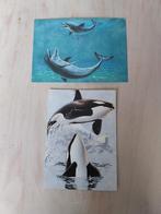 Mooie ansicht kaart met envelop 2 orca's NIEUW, Verzamelen, Ansichtkaarten | Dieren, Ophalen of Verzenden, 1980 tot heden, Ongelopen