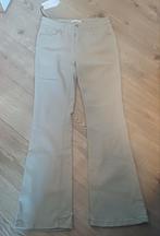 Bootcut flared jeans Moon, Ophalen of Verzenden, Nieuw, Blauw, Lang