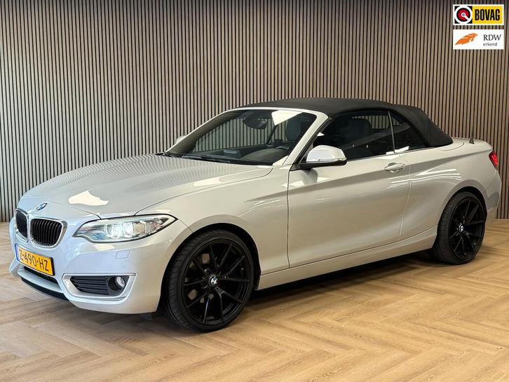 BMW 2-serie Cabrio 220i CABRIOLET NAVIGATIE PDC STOELVERWARM, Auto's, BMW, Bedrijf, Te koop, 2-Serie, ABS, Airbags, Airconditioning