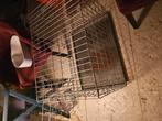 Te koop nette honden bench, Dieren en Toebehoren, Hondenhokken, Ophalen of Verzenden, Zo goed als nieuw, 75 tot 110 cm, Minder dan 65 cm