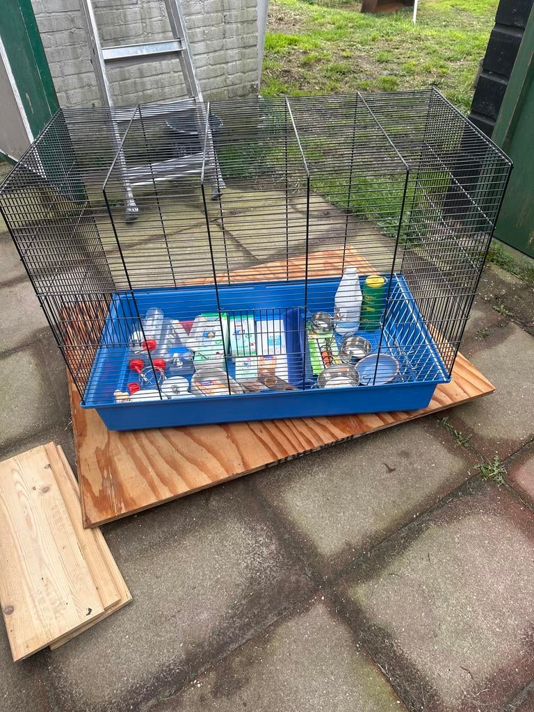 Knaagdieren kooi konijn cavia, Minder dan 60 cm, Kooi, Ophalen of Verzenden, Zo goed als nieuw