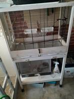 Een  mooie    grote   vogel    kooi   n, Dieren en Toebehoren, Vogels | Hokken en Kooien, Ophalen, Zo goed als nieuw, Metaal, Vogelkooi