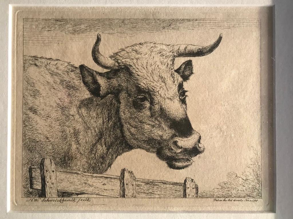Ets - Kop van een koe en Kop van een stier  (Schweickhardt), Ets, Ophalen of Verzenden, Ingelijst, Flora en Fauna
