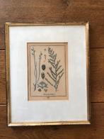 Oud lijstje 27x33, Ophalen of Verzenden