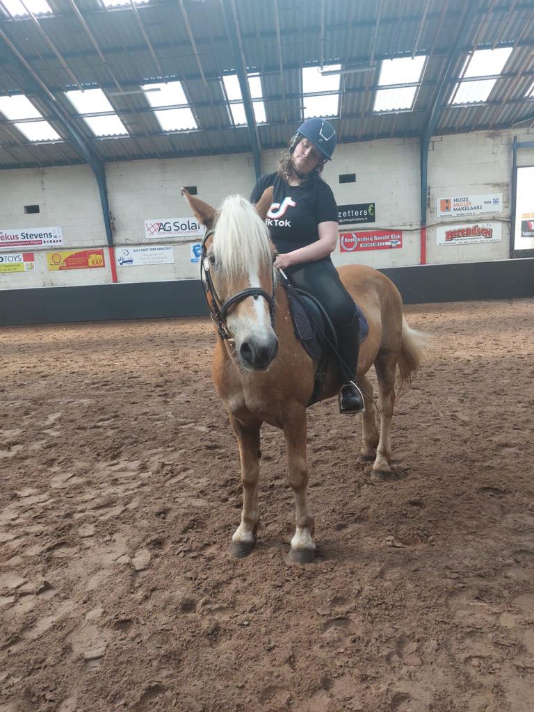 Verzorg paardje gezocht, Ophalen of Verzenden, Dressuur