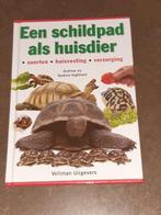 Een schildpad als huisdier nieuwstaat, Ophalen of Verzenden, Zo goed als nieuw, Katten