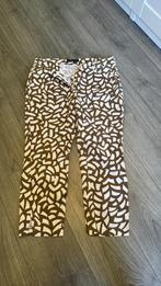 broek L Patrizia Dini, Bruin, Maat 42/44 (L), Ophalen of Verzenden, Driekwart