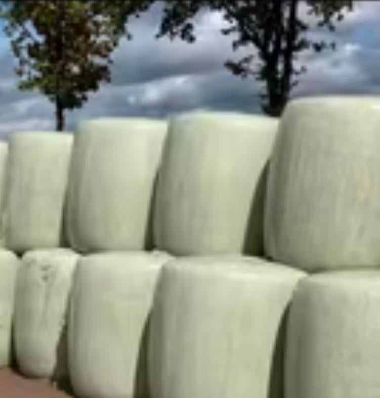 20 Maisbalen Oogst 2025 - Hoogwaardig Veevoer, Zakelijke goederen, Ophalen