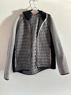 Fay gewatteerde jas met capuchon Maat XXL valt meer als L/XL, Ophalen of Verzenden, Zo goed als nieuw, Overige maten, Grijs