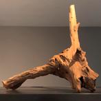 Enorm stuk Kienhout / Driftwood / Spiderwood, Hout Decoratie, Ophalen of Verzenden, Plant(en), Steen of Hout