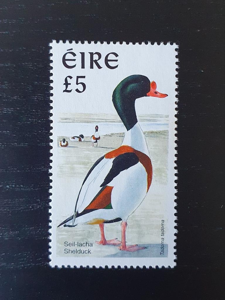 Ierland 1997 Gans Vogel Michel 1021 postfris, Verzenden, Postfris, Dier of Natuur