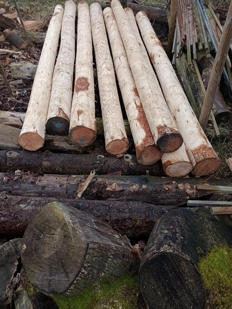 boompalen, Tuin en Terras, Palen, Balken en Planken, Nieuw, Palen, 180 tot 250 cm, Ophalen of Verzenden